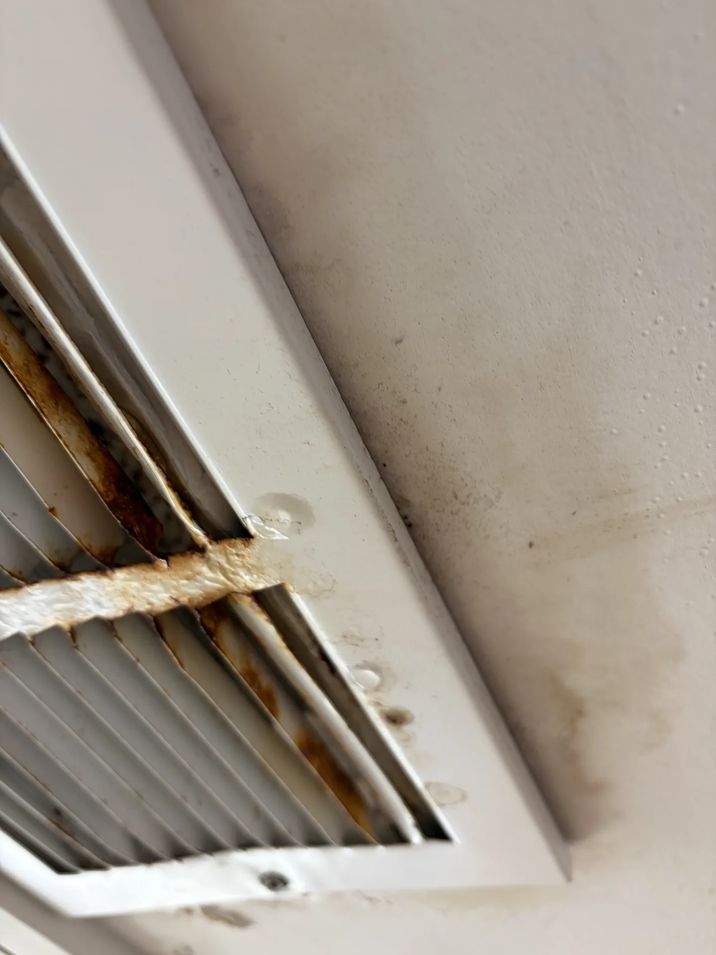 Water droplets and rust-colored corrosion on a bathroom HVAC supply register
