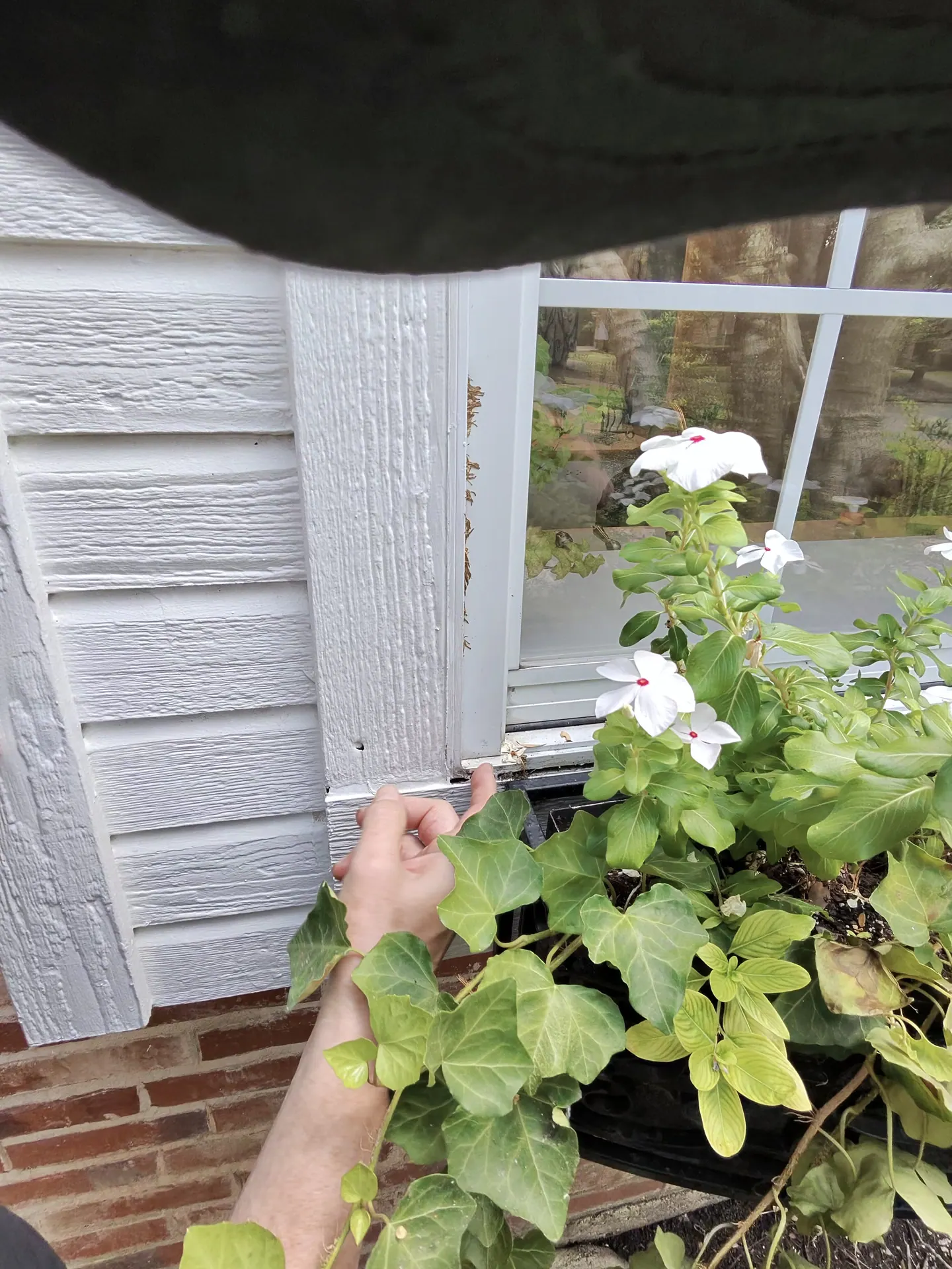 Weathered exterior trim around a kitchen window with deteriorated joints