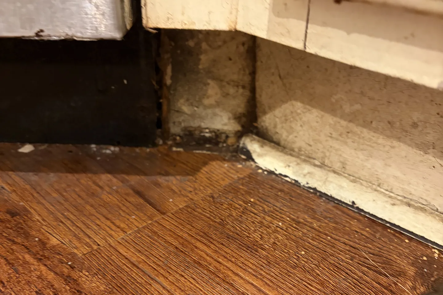 Mold growth on deteriorated kitchen cabinet toe-kick beside dishwasher