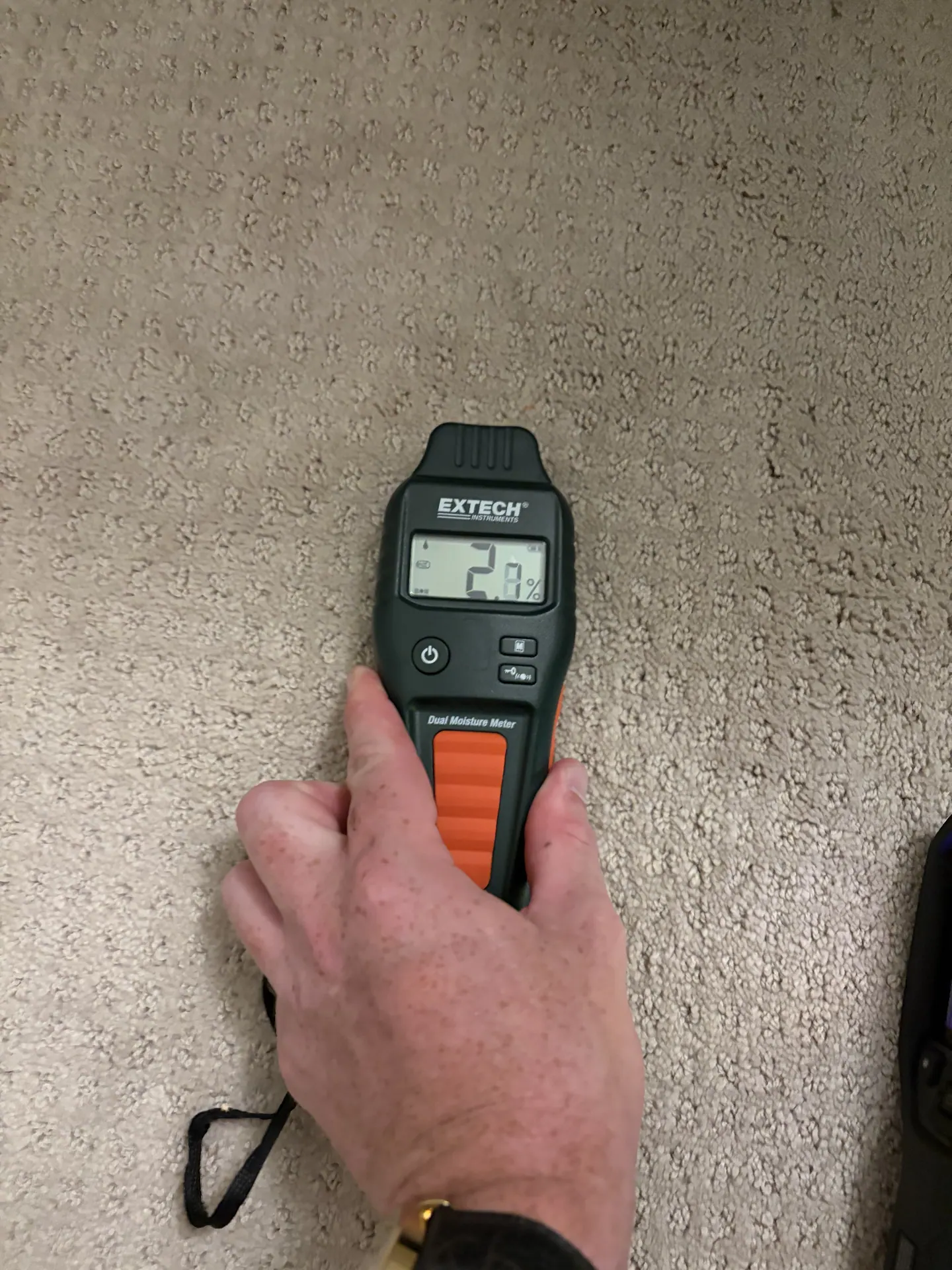 Dry carpet reference with a comparative moisture-meter response of 2.8