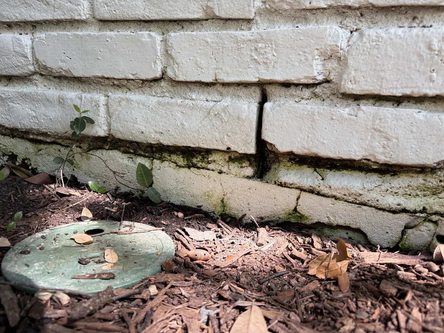 Open vertical brick mortar joint and nearby irrigation valve box in an exterior planting bed