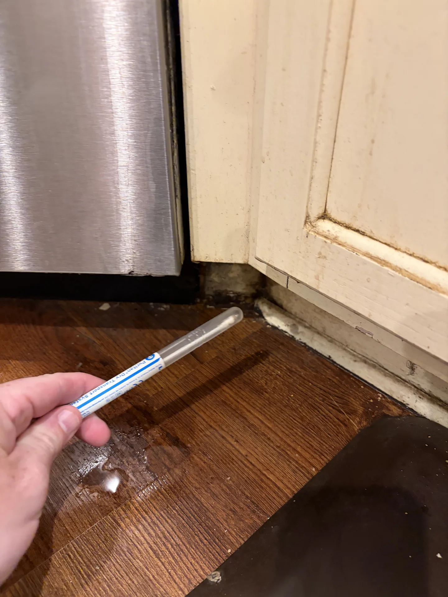 Surface mold sample collected from cabinet toe-kick beside leaking dishwasher
