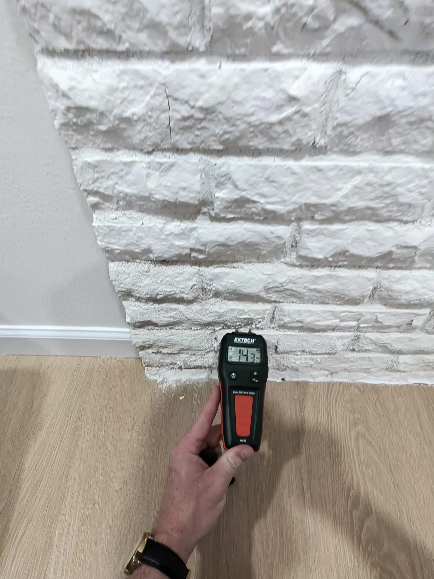 Reference comparative moisture-meter response of 14.3 in mortar elsewhere on the same wall