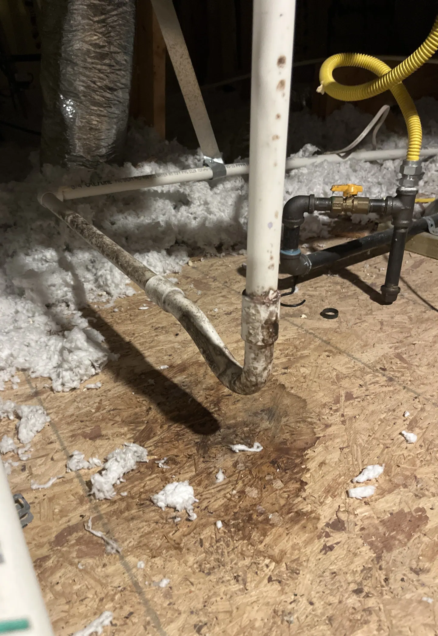 Surface growth on an uninsulated AC condensate drain line in a Dallas attic