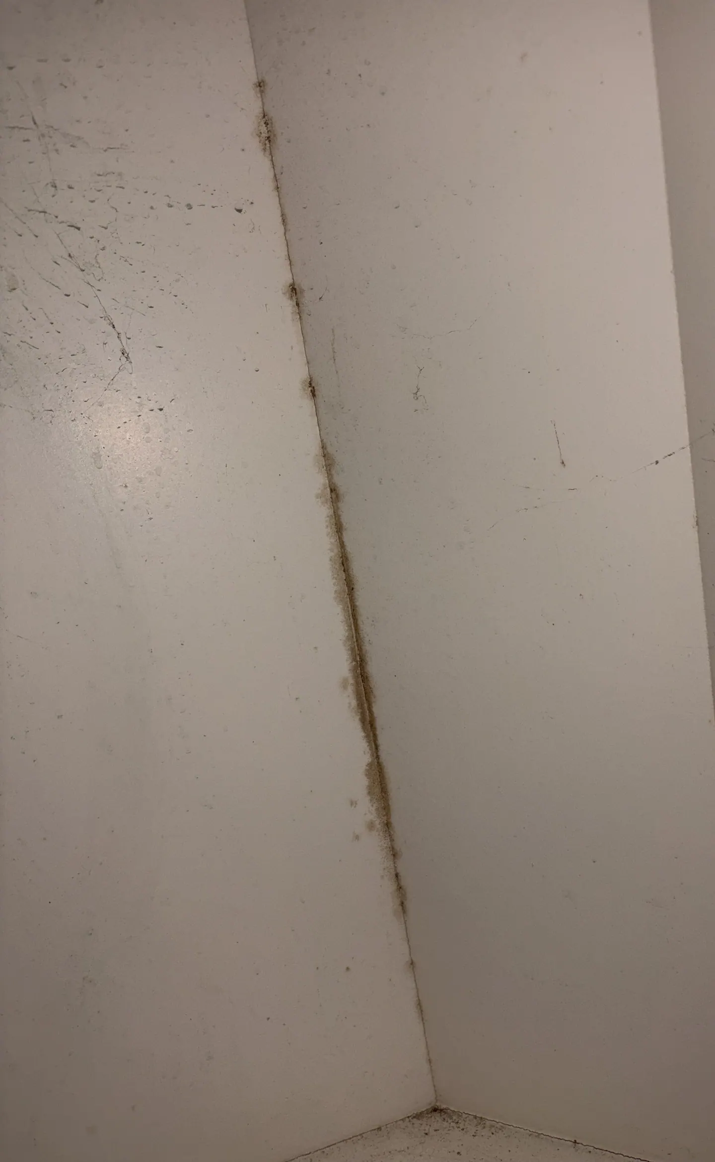 Dark discoloration along the sampled rear interior seam of a bathroom vanity