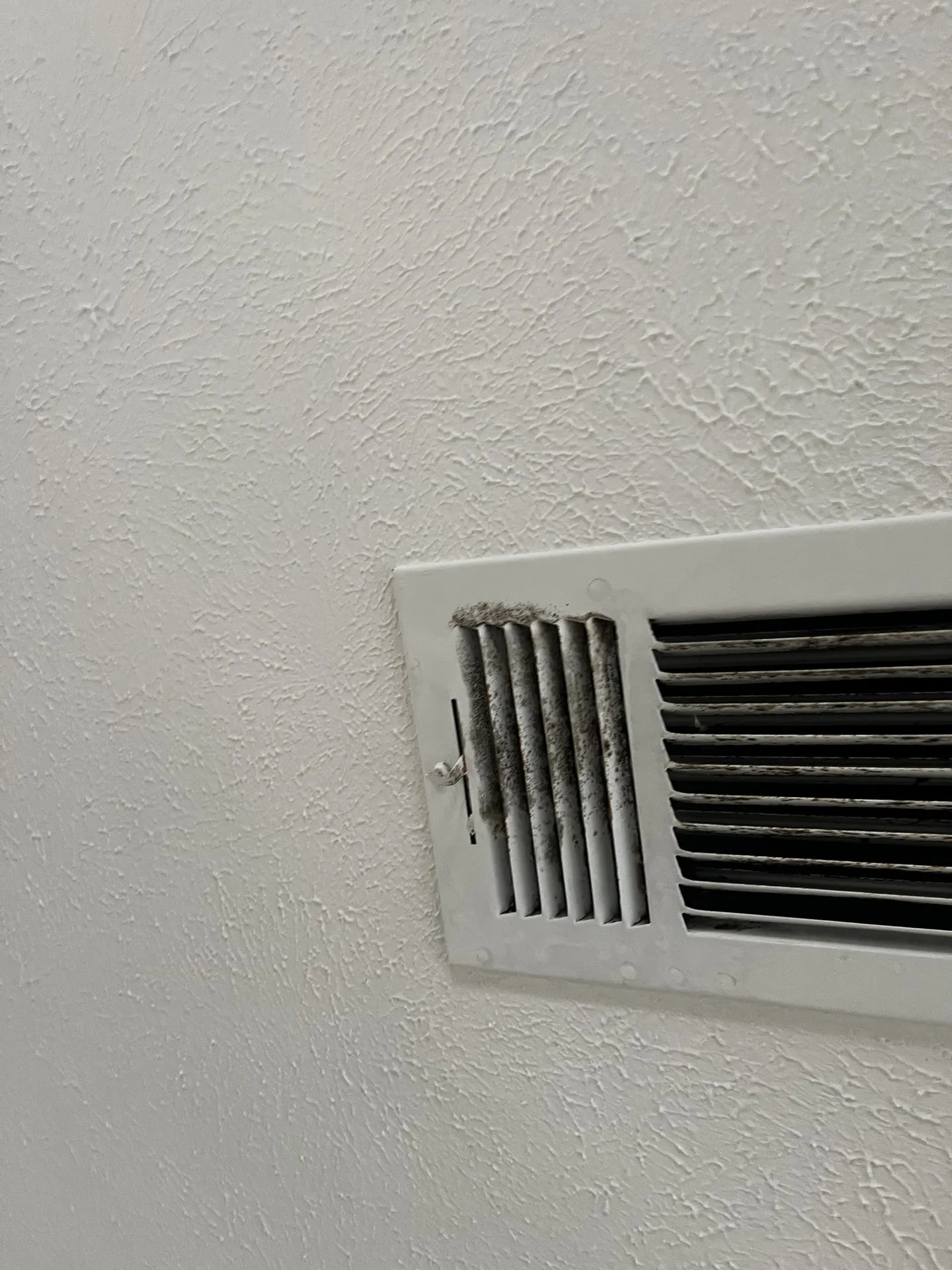 Visible dark growth on the face and louvers of the sampled left playroom HVAC supply grill