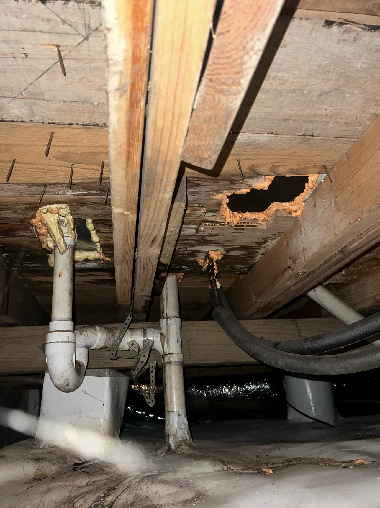 Contractor-provided view of crawlspace subfloor staining and apparent deterioration around plumbing penetrations beneath the master bathroom