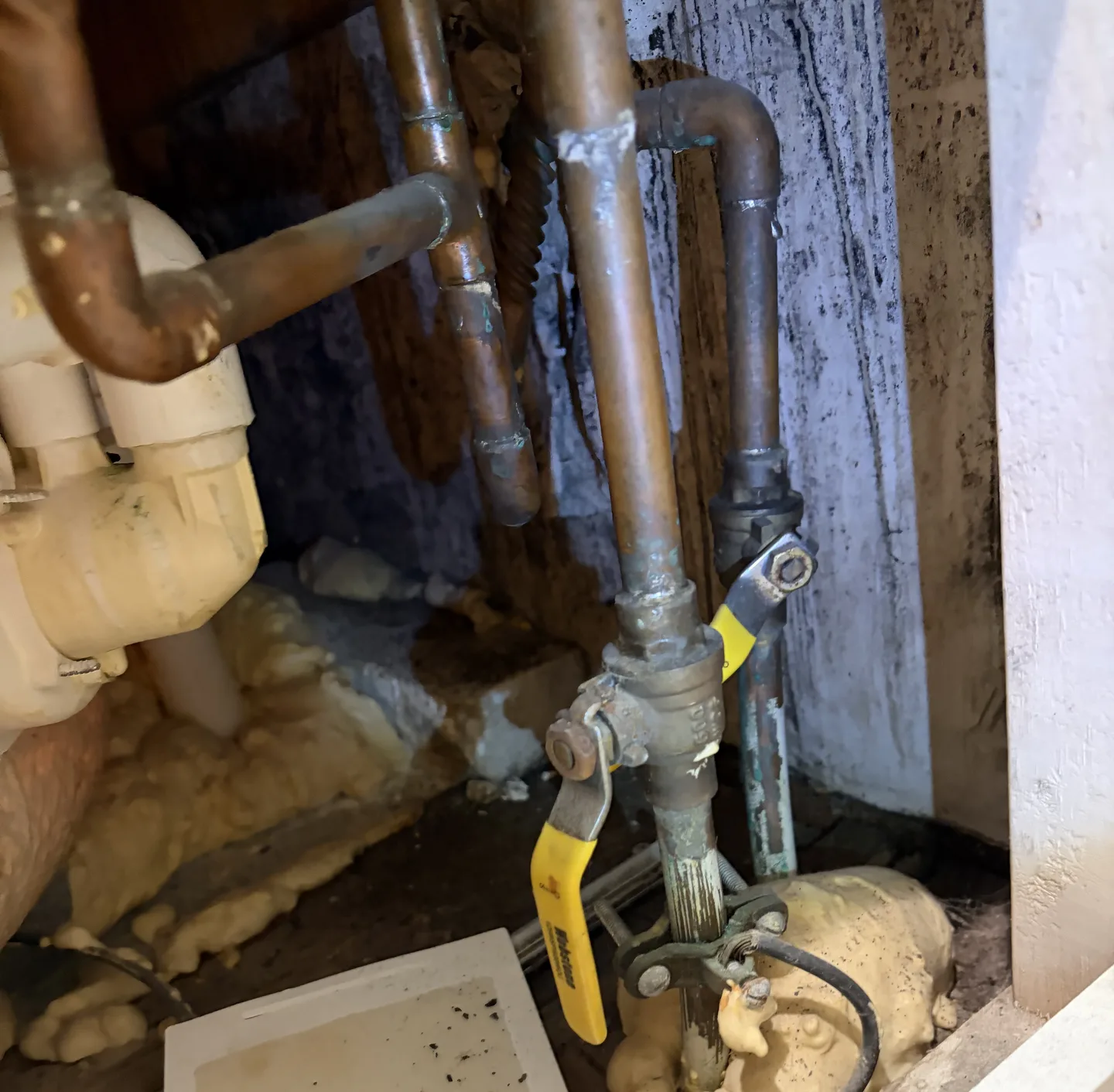 Visible mold growth beneath a jetted bathtub behind supply plumbing