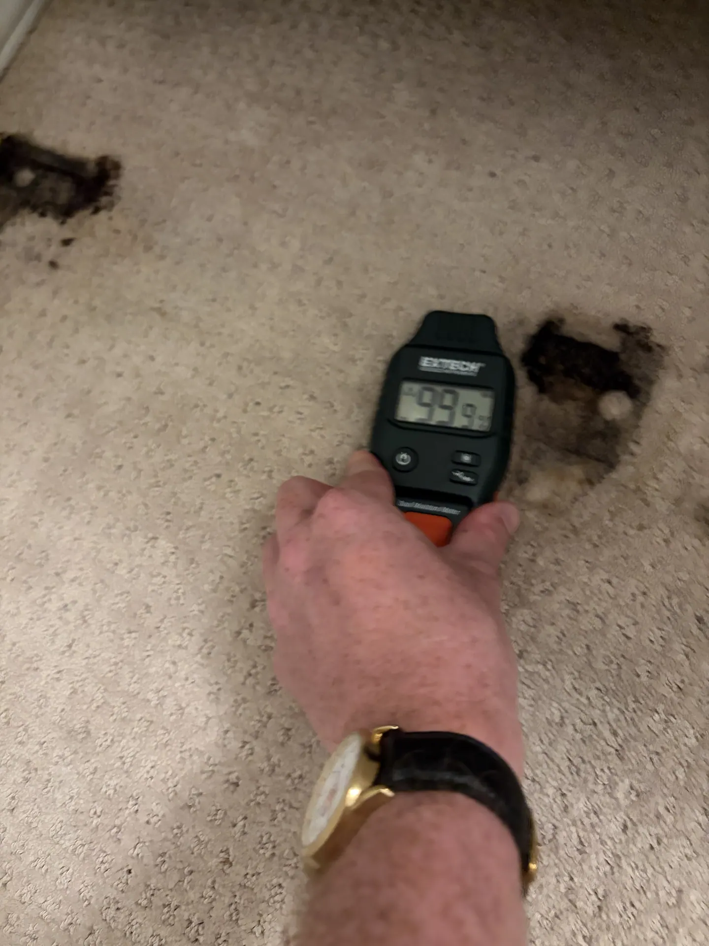 Stained wet carpet at the sampled Dallas bedroom location beside a moisture meter showing its maximum comparative response