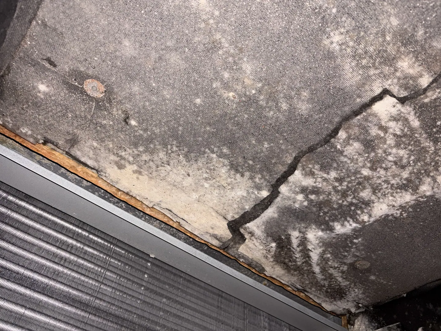 White surface colonization on HVAC supply-plenum liner beside the evaporator coil