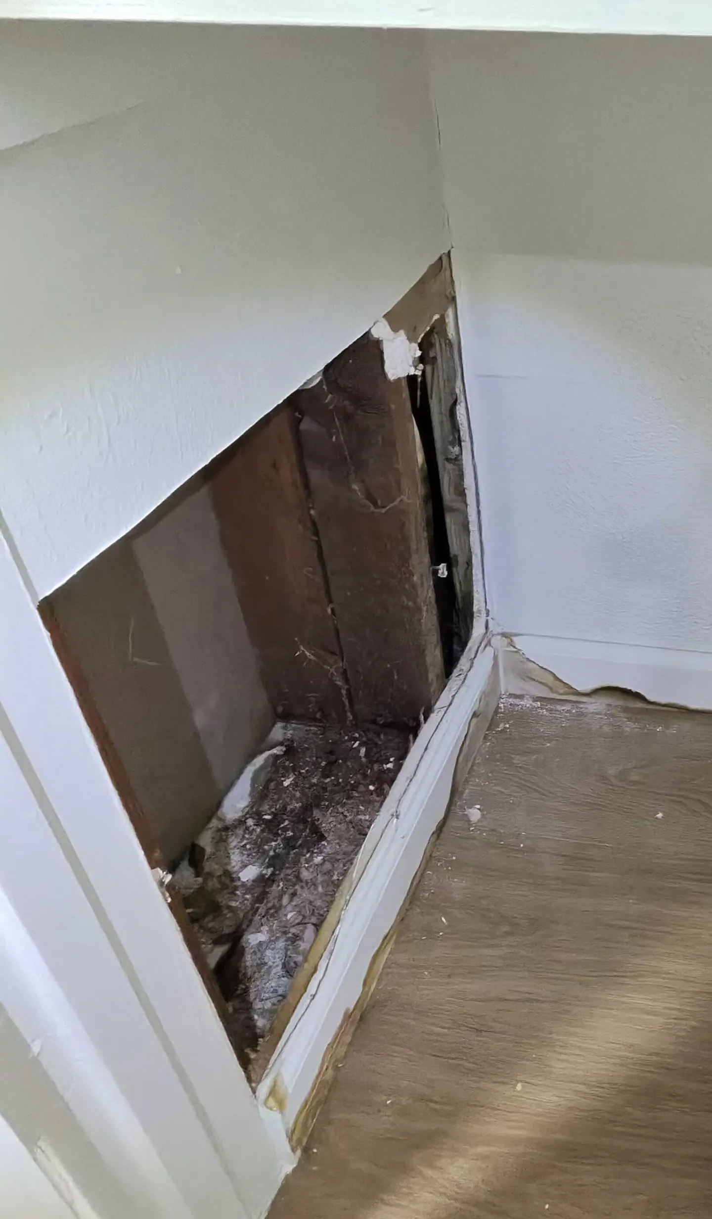 Stained framing and wallboard visible through an existing hallway-closet wall opening