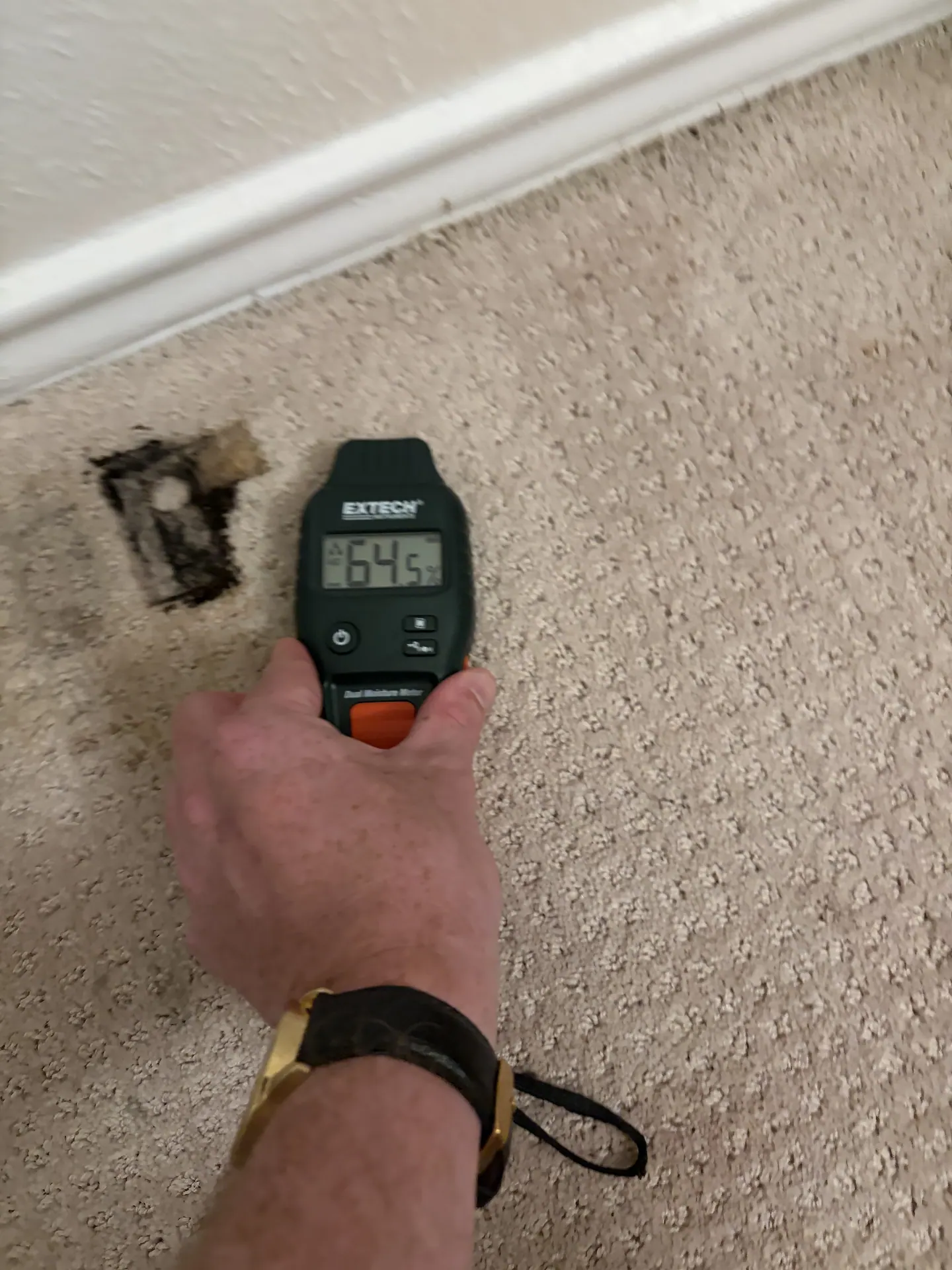 Comparative moisture-meter response of 64.5 near the outer edge of the wet carpet zone