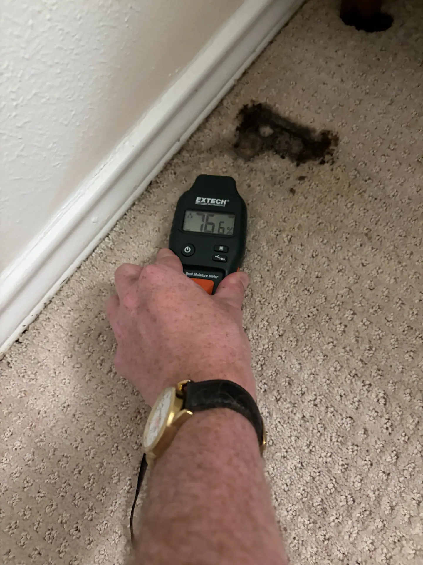 Comparative moisture-meter response of 76.6 at the second wet carpet zone