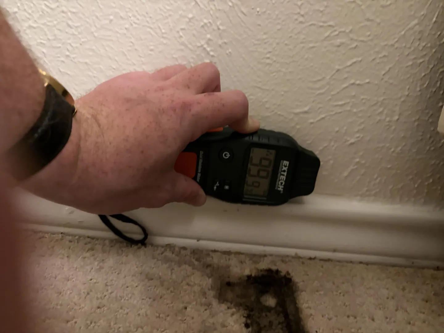 Moisture meter on lower bedroom drywall above the baseboard near stained carpet