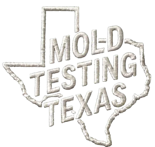 Mold Testing Texas